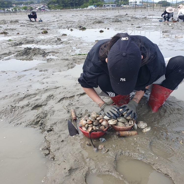 7eb7ba18f6a93d40c9d27b4a06a02301_1768022