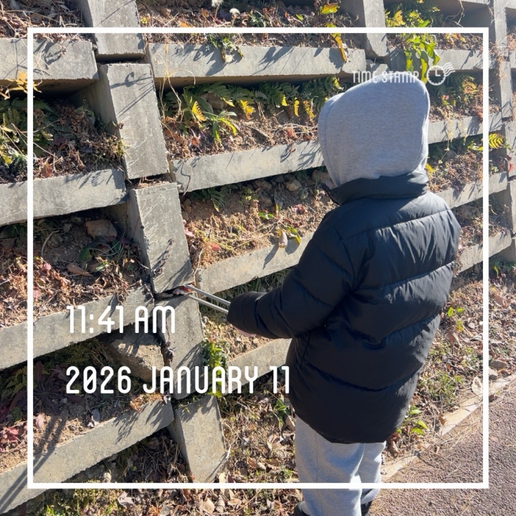 c5e06a8ecdeaad67464f01f3665a24a6_1768195