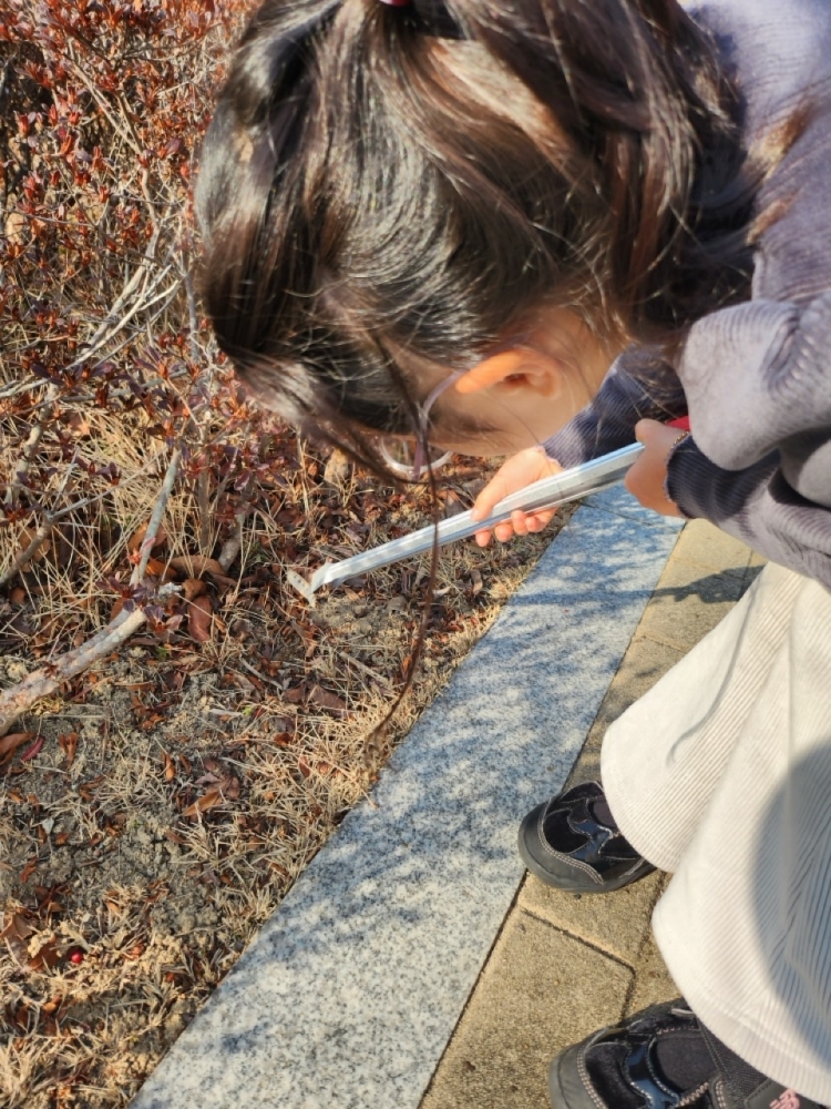 de9d7091ac50abd9aeceee4e110c2fbb_1768788